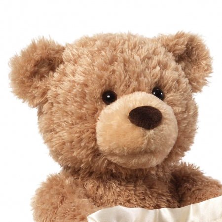 Peekaboo Teddy Bear – The Cutest Interactive Plush Toy! 🧸✨